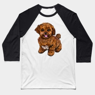 Cavapoochon Cavapoo Cavoodle - cute friendly cavalier King Charles spaniel Bichon frise Baseball T-Shirt